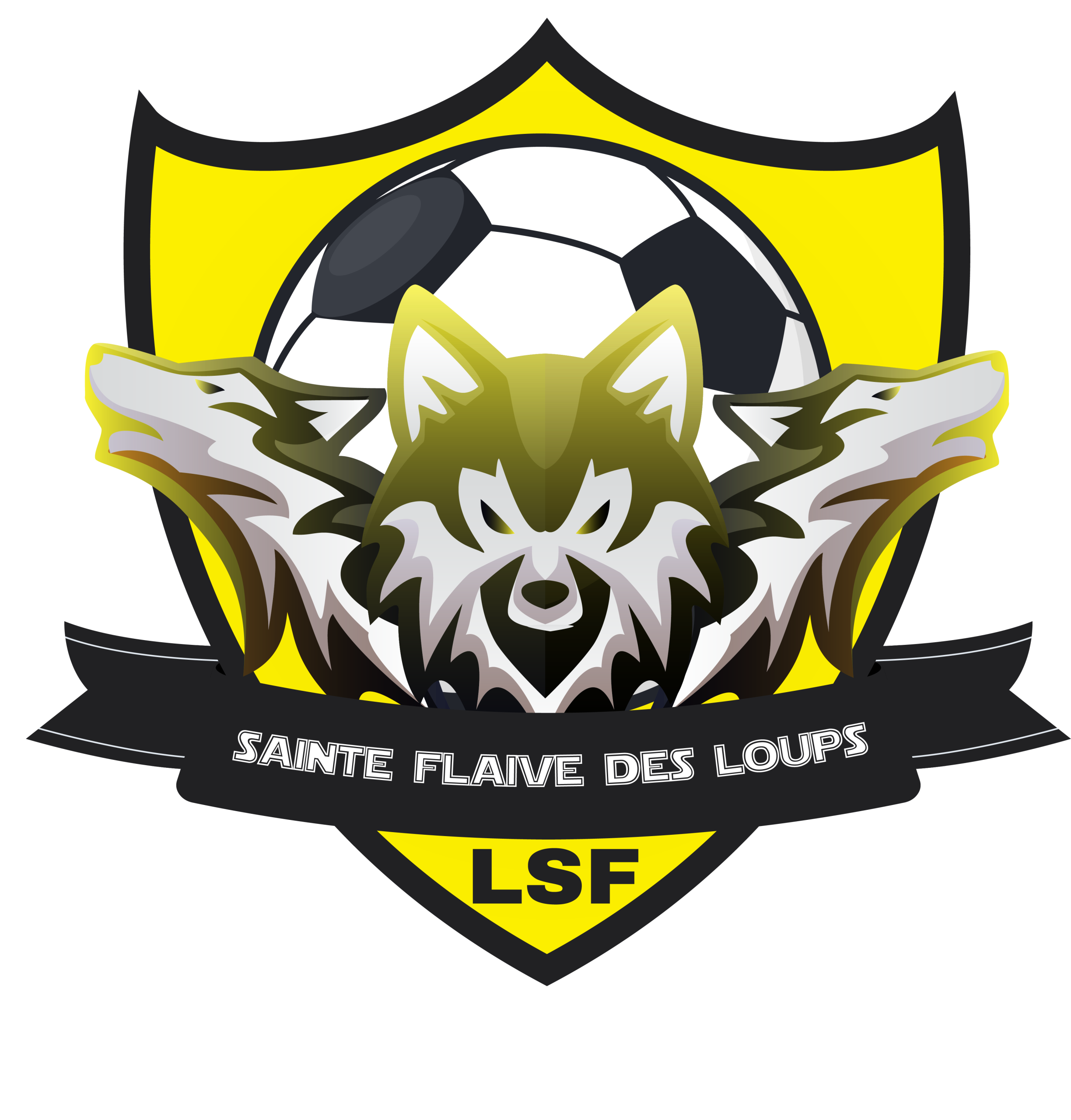 LSF Football — Loups Sportifs Flavois